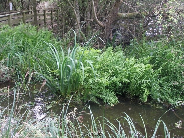 2007 05 Séjour en Brenne 040